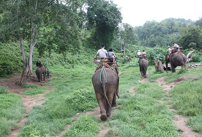 chiang mai Trekking 4