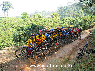 Mountain Biking 35