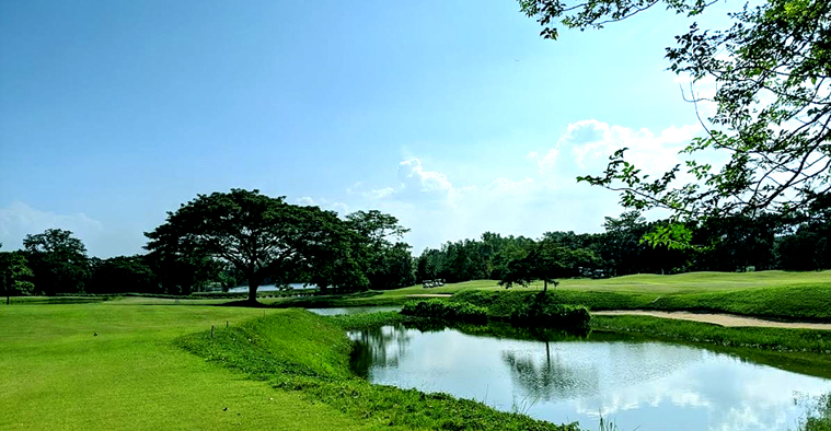 매조골프클럽, 메조 골프클럽,치앙마이 메조 골프클럽, 치앙마이 골프, 태국 골프, mae jo golf 