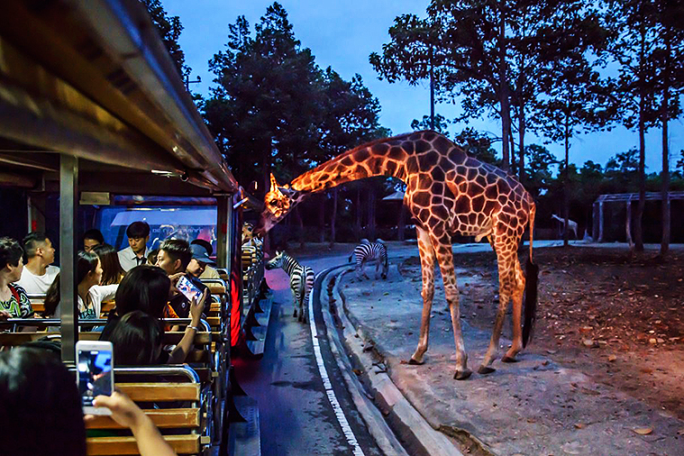 치앙마이 나이트 사파리, 치앙마이 데이 사파리, Day Safari Chiang Mai, Night Safari, 치앙마이 동물원, 치앙마이 야간 동물원